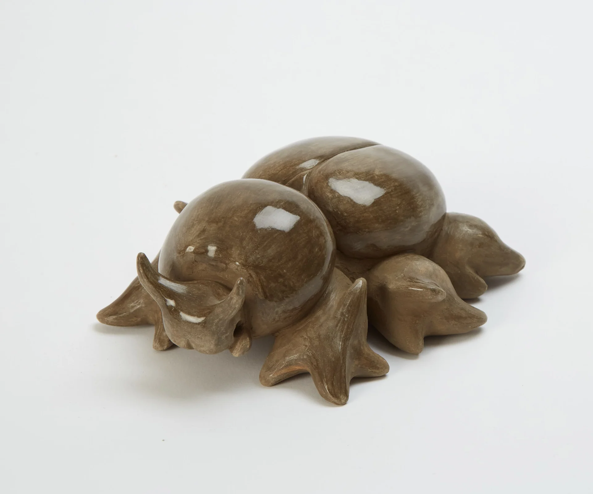 Sophie Sheppard’s brown ceramic beetle, with a polished rounded shell, small horns and broad sculpted legs, against a pale background.